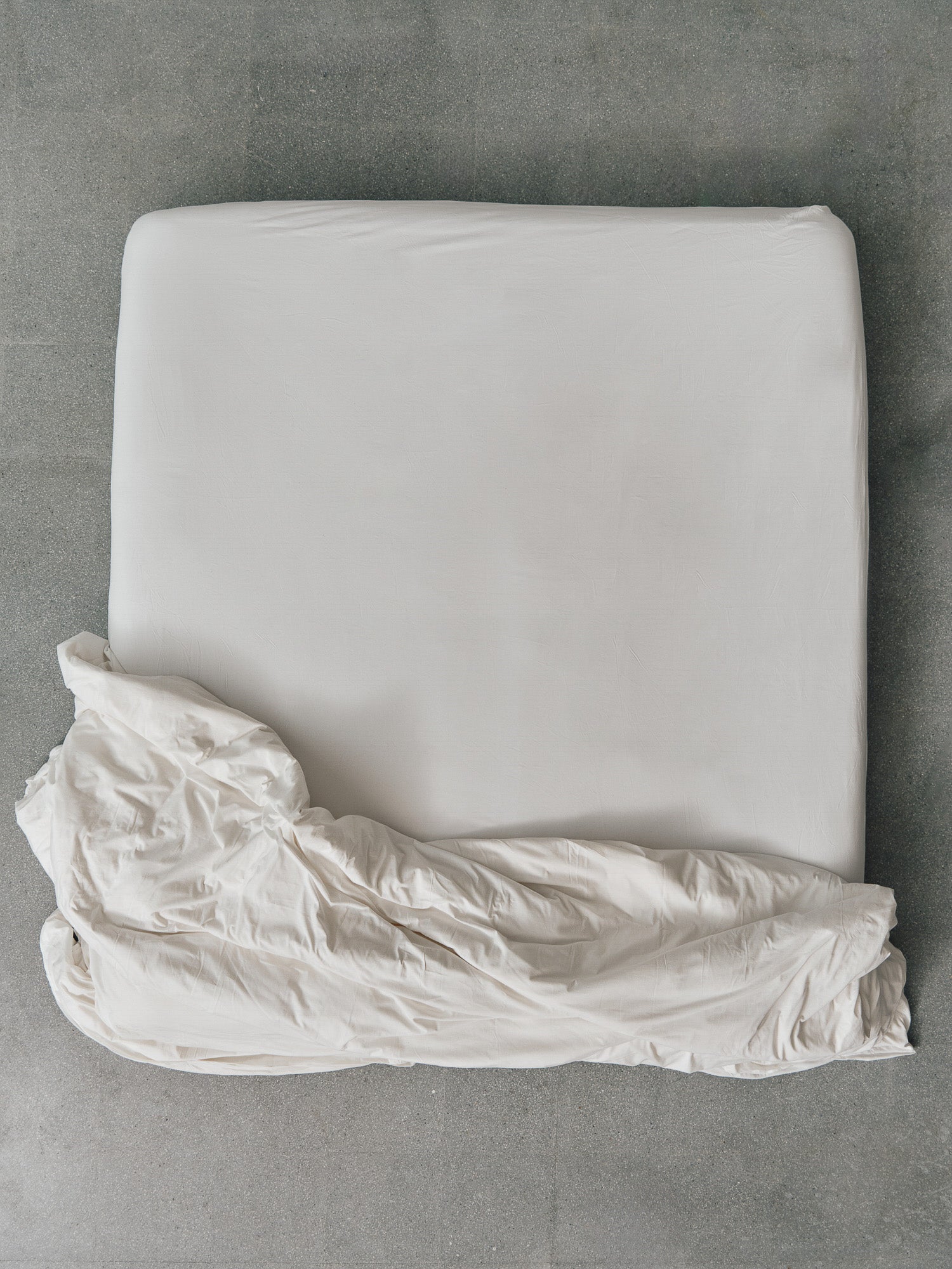 Organic Jersey Cotton Fitted Sheet