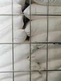 Cushion Filling